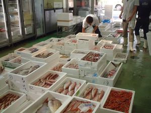 一年を通して、北陸の旬の食材を毎朝仕入れしております。