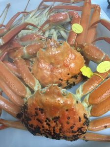 越前蟹(11月6日～3月20日)