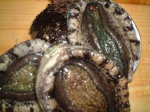 越前町　黒アワビ